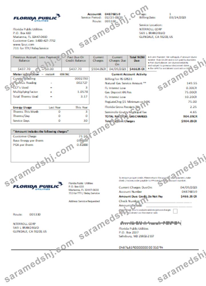 Florida Public Utilities utility business bill,  SCR